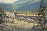 Matt Lindstrom, Untitled - Elk by the Lake, oil on canvas