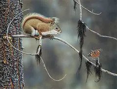 Glenn Olson, Encounter Session [Red Squirrel - Painted Lady], 1992, acrylic on wood board