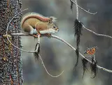 Glenn Olson, Encounter Session [Red Squirrel - Painted Lady], 1992, acrylic on wood board