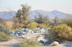 Florence Sackett, Desert Treasures, oil on canvas