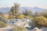 Florence Sackett, Desert Treasures, oil on canvas