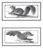 Colin See Paynton, Grey Squirrel #85/100 / Red Fox #100/100, 1993, wood block on paper