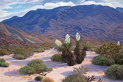 Mark Spicak, Untitled - Sunset in the Desert, oil on canvas