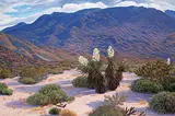 Mark Spicak, Untitled - Sunset in the Desert, oil on canvas