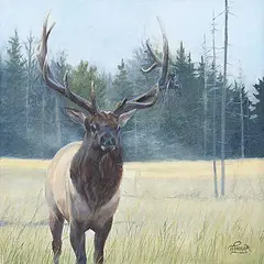 Tammy Taylor, Late in the Season, 2022, oil on canvas