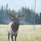 Tammy Taylor, Late in the Season, 2022, oil on canvas