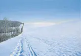 Sylvain Voyer, Country Skiing, Duffield, oil on wood board