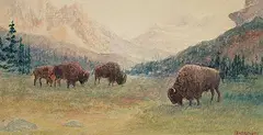 Thomas Harrison Wilkinson, Buffalo - Banff, Alberta, watercolour on paper