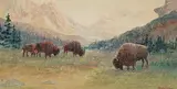 Thomas Harrison Wilkinson, Buffalo - Banff, Alberta, watercolour on paper