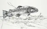 Jack Lee Cowin, Prairie Creek Brown