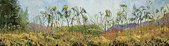 Tom Gale, Tansy Meadow Series, 2010, oil on canvas