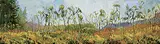 Tom Gale, Tansy Meadow Series, 2010, oil on canvas