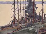 Robert Genn, Gulf Island Picayune