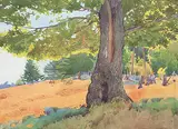 Walter J. Phillips, Pasture at Saanich, B.C., 1945, watercolour on paper