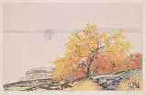 Walter J. Phillips, Wild Cherry #196, 1927, colour wood block on paper