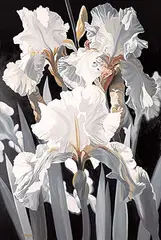 Don Berger, Untitled - White Irises, acrylic on canvas