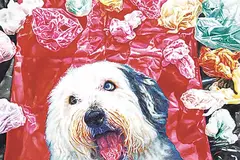 Alexandra Haeseker, Objects of Desire: Thoughts, 1994, watercolour on paper