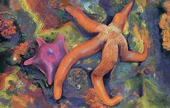 Mimicry by Anja Karisik, 2017, pastel on board, sold Apr 2023