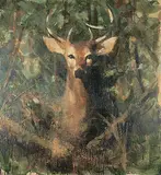 Tony Scherman, The Animals [Deer]