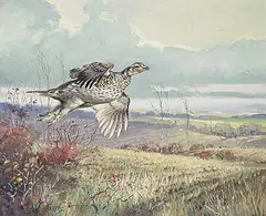 Sharp Tail Grouse Flushing by George Browne, oil on canvas, sold Apr 2023