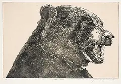 Jack Lee Cowin, Swan River #A.P., 1993, hand coloured etching on paper