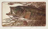 Jack Lee Cowin, Old Bucket Mouth #A.P., 1987, hand coloured etching on paper