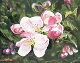 Linda Hobley, Spring Repetition, 1997, oil on canvas
