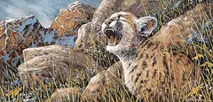 Page Ough, Child of the Rockies - Cougar Kitten, 2003, acrylic on canvas