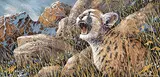 Page Ough, Child of the Rockies - Cougar Kitten, 2003, acrylic on canvas