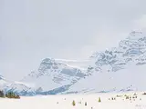 Ted Raftery, Bow Lake, Winter