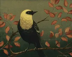Darrell Underschultz, Yellow-Headed Blackbird, 2013, acrylic on canvas