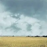 Ken Vincent, Summer Fields 1127, acrylic on canvas