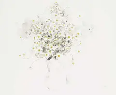 Molly Lamb Bobak, Untitled - Daisies, watercolour on paper