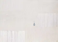 Tom Hamilton, Untitled - Patient Dog, acrylic on paper