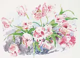 Lois Isobel Hathaway, Emperor Tulips, watercolour and graphite on paper
