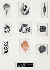 Barbara Howard, Untitled - Forest Fauna Collection, colour wood block on paper