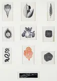 Barbara Howard, Untitled - Forest Fauna Collection, colour wood block on paper