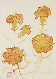 Josette T. Khu, Carnations, watercolour on paper