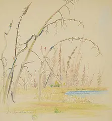 Ernest Friedrich Lindner, Untitled - Trees Beside Reeds, coloured pencil on paper