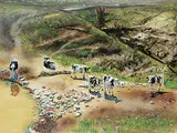 Gary Olson, Six Cows in a Valley Near Cochrane, 1981, mixed media on paper