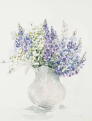 Inge Pataki, Untitled - Lupins and Daisies, watercolour on paper