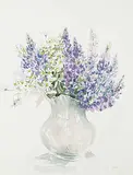Inge Pataki, Untitled - Lupins and Daisies, watercolour on paper
