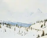 Ted Raftery, Near Columbia Icefields