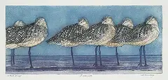 David Silverberg, Godwits #Artist's Proof, colour etching on paper