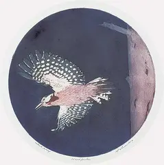 David Silverberg, Woodpecker #Artist's Proof, colour etching on paper