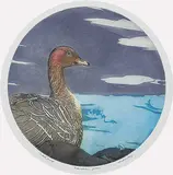 David Silverberg, Hawaiian Goose #Artist's Proof, colour etching on paper