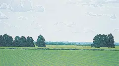 Deborah Lougheed Sinclair, Heartland, 1982, acrylic on canvas