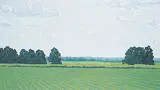 Deborah Lougheed Sinclair, Heartland, 1982, acrylic on canvas