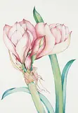 Sharlene Dee Stauffer, Hey, Bud, 1984, watercolour on paper