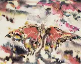 Merle Stewart, Butterfly, watercolour on paper
